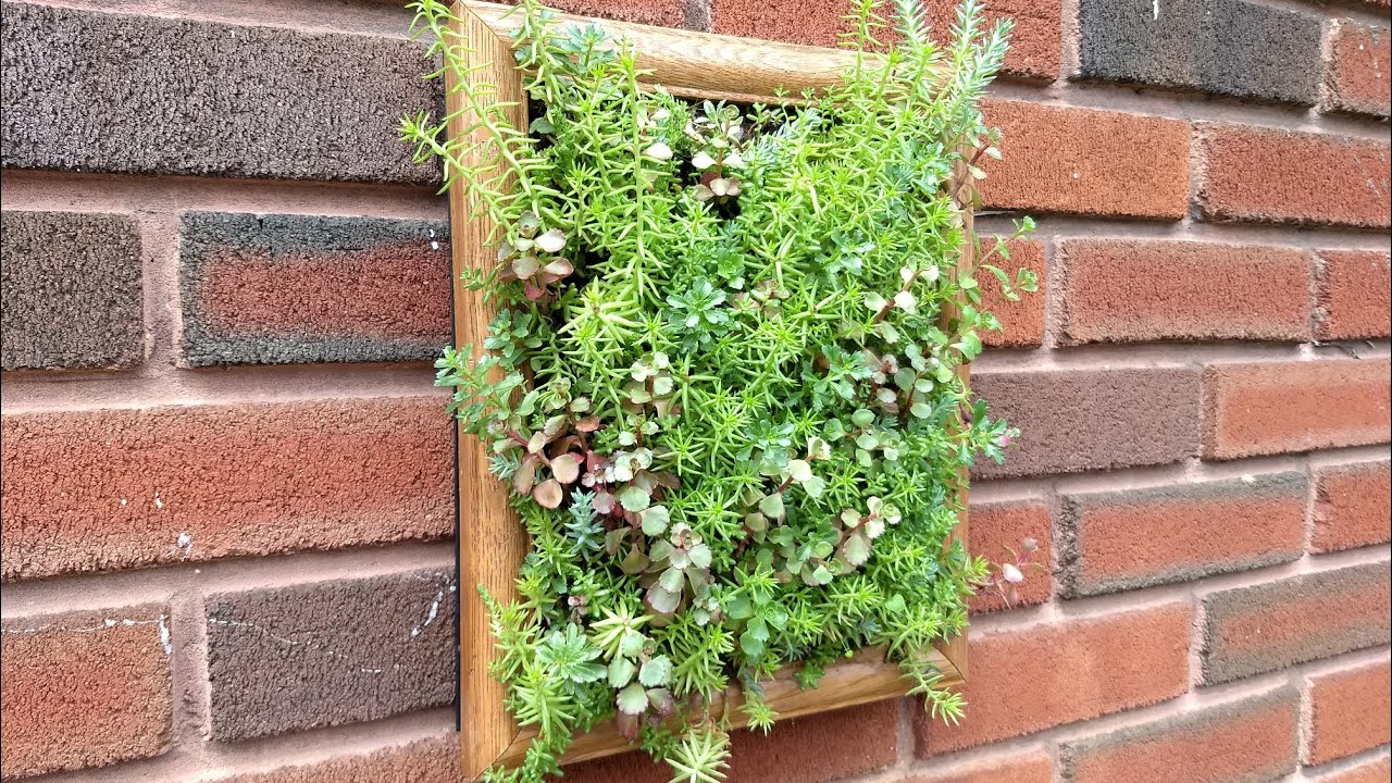 Picture Frame Planter
