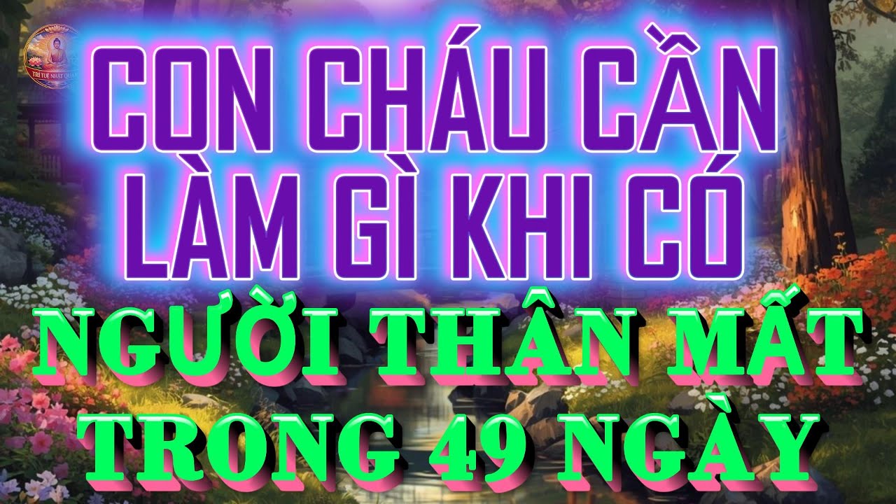 CON CHÁU CÓ CẦN CÚNG CƠM KHÔNG? - KHI NGƯỜI THÂN MẤT TRONG 49 NGÀY - Nghe  pháp đêm khuya
