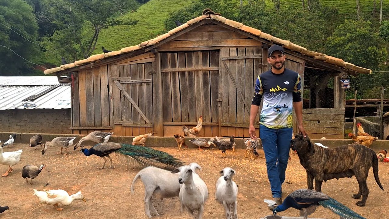 Os encanto da natureza #muitos animais, um sitio perfeito