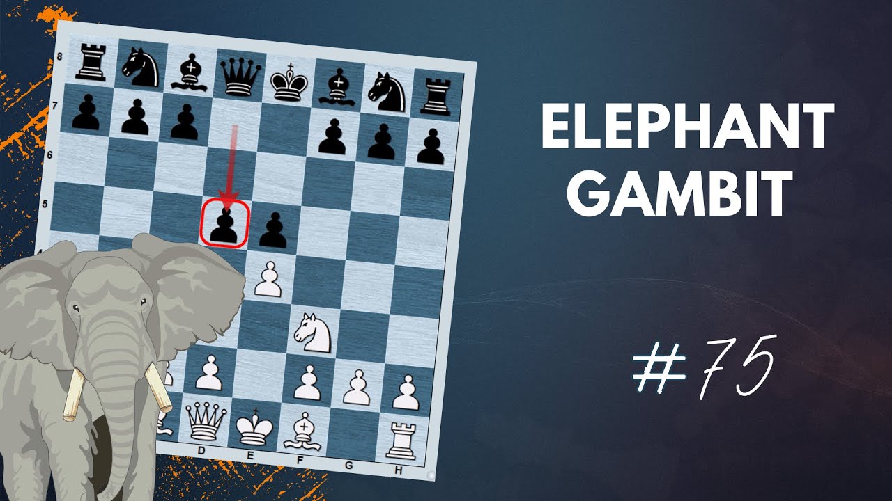Elephant Gambit | The Refutation - Daily Lesson with a Grandmaster #75