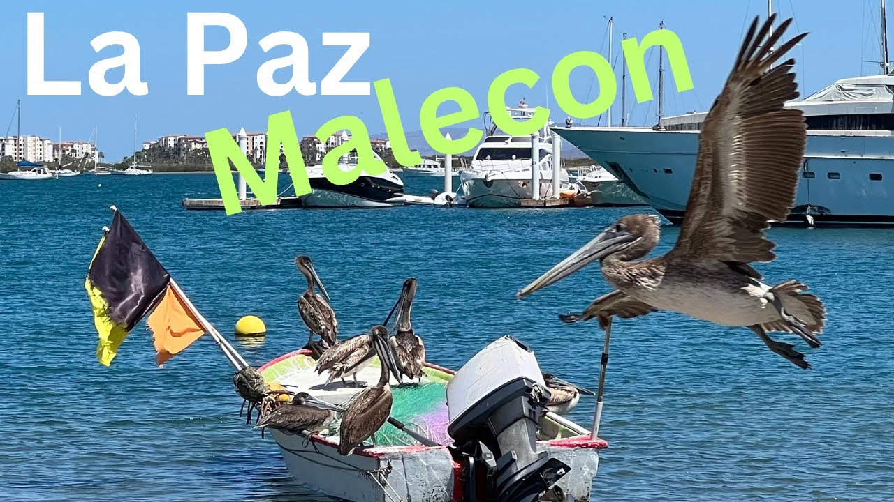 Exploring La Paz's Stunning Malecon Boardwalk!