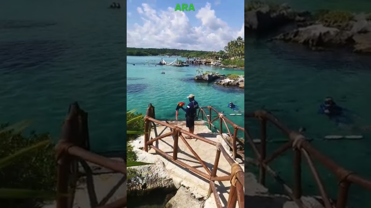 Ara parrot.  swift flight over water