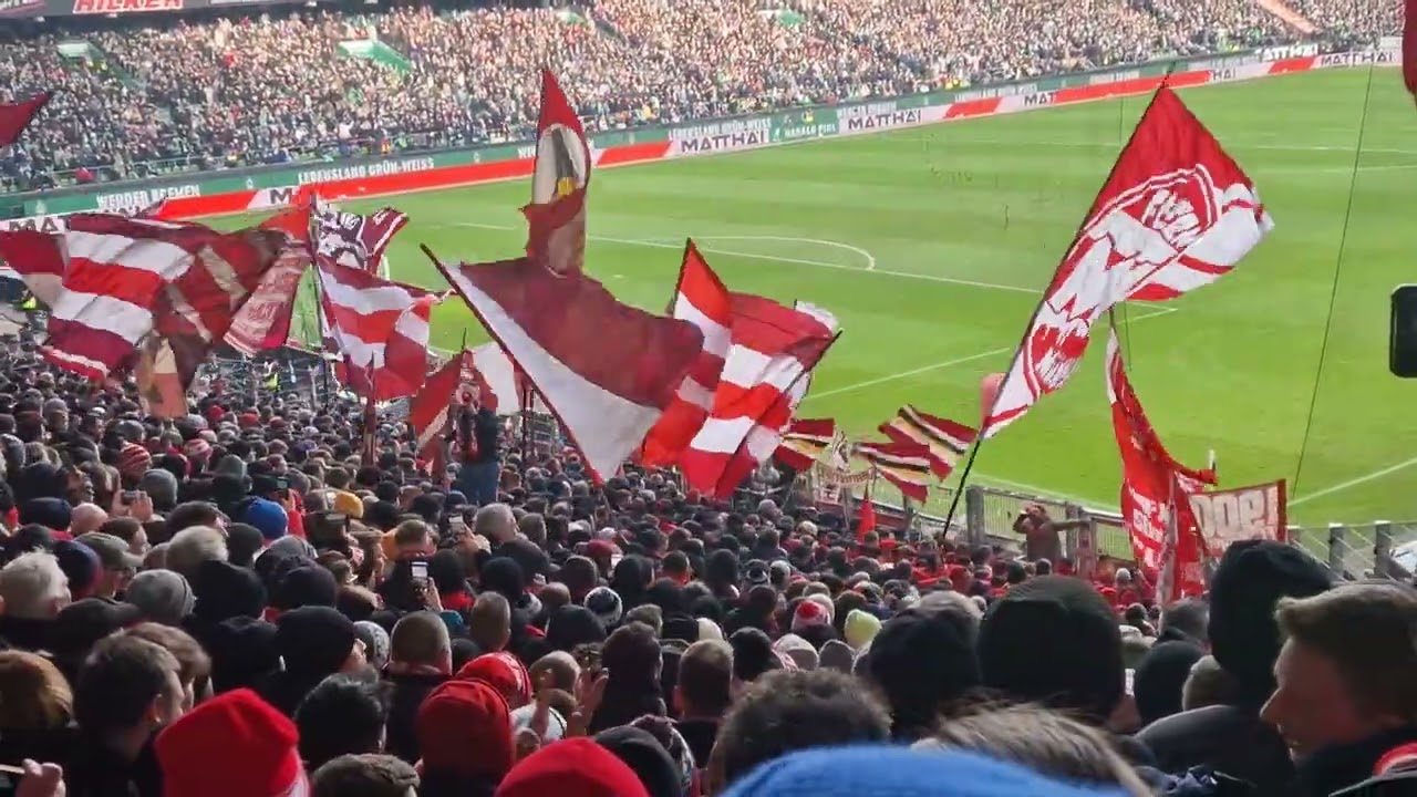 Werder Bremen Vs Bayern München Tor Elfmeter Harry Kane 14.02.26