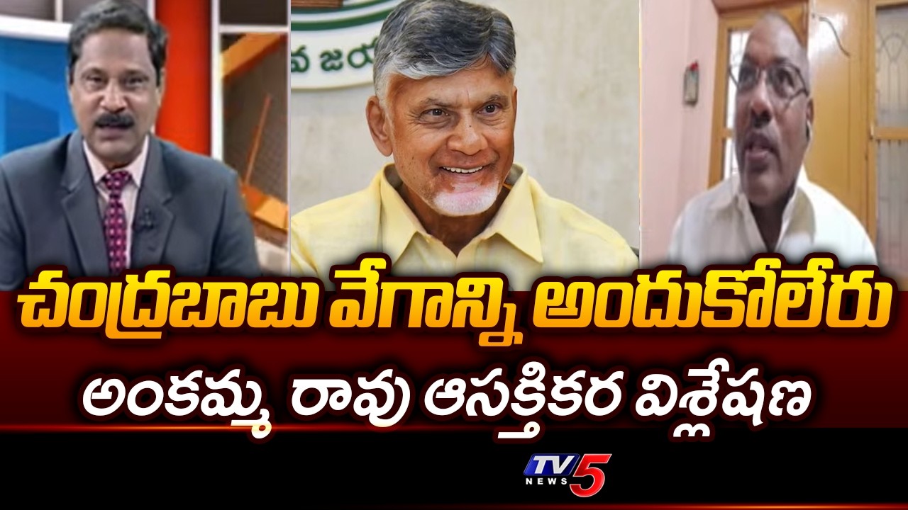 చంద్రబాబు వేగాన్ని అందుకోలేరు....Analyst Ankamma Rao About CM Chandrababu | TV5 News