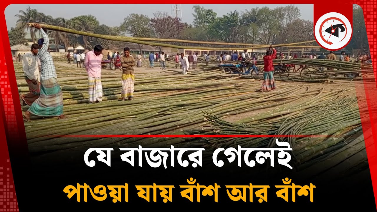 যে বাজারে গেলেই পাওয়া যায় বাঁশ আর বাঁশ | Bamboo Market | Kalbela
