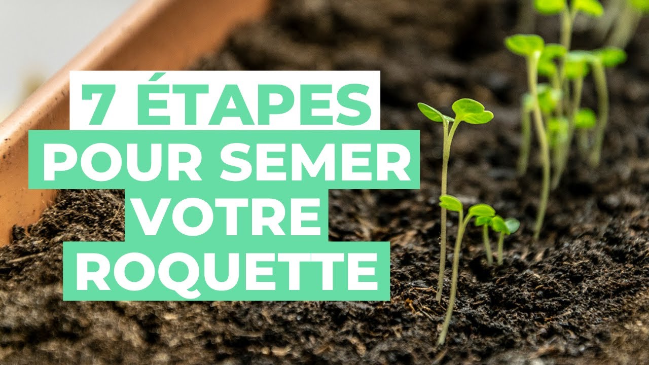 Comment faire un SEMIS de ROQUETTE en 7 étapes ?