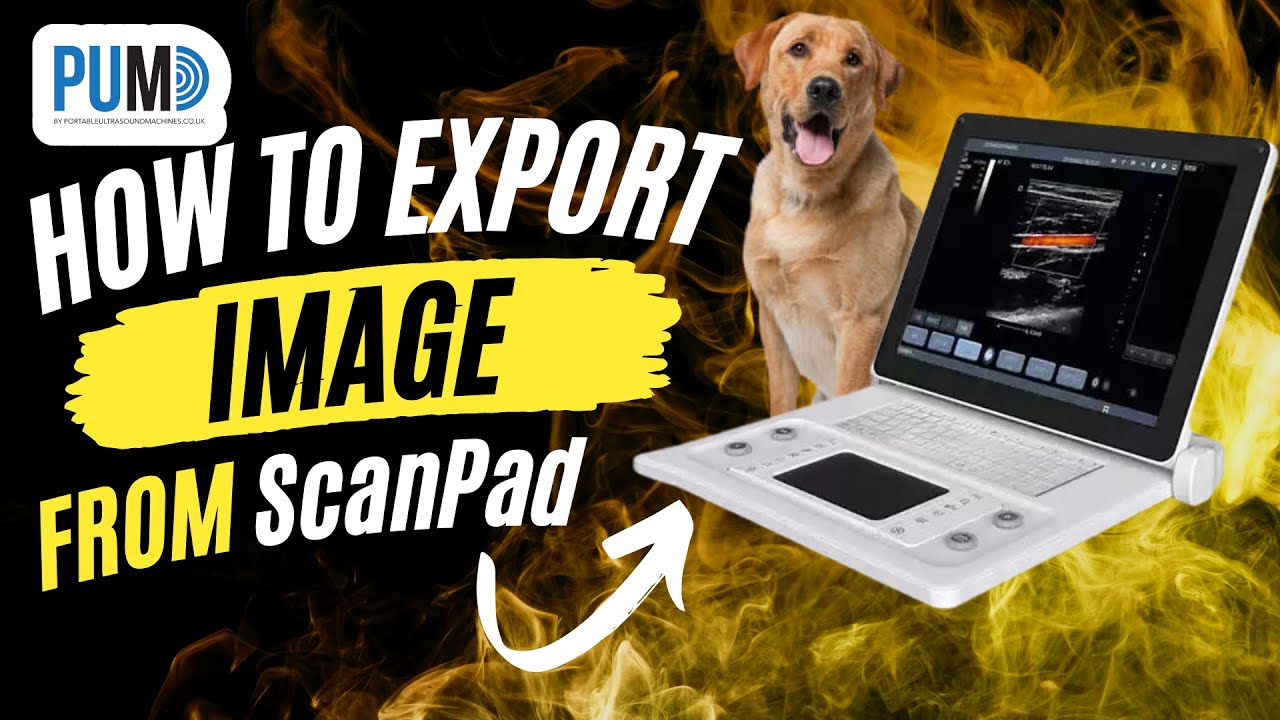 How to export images from the ScanPad (2023 edition or later)