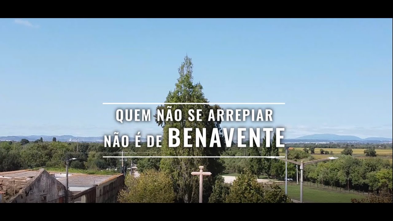 Quem não se arrepiar não é de #BENAVENTE