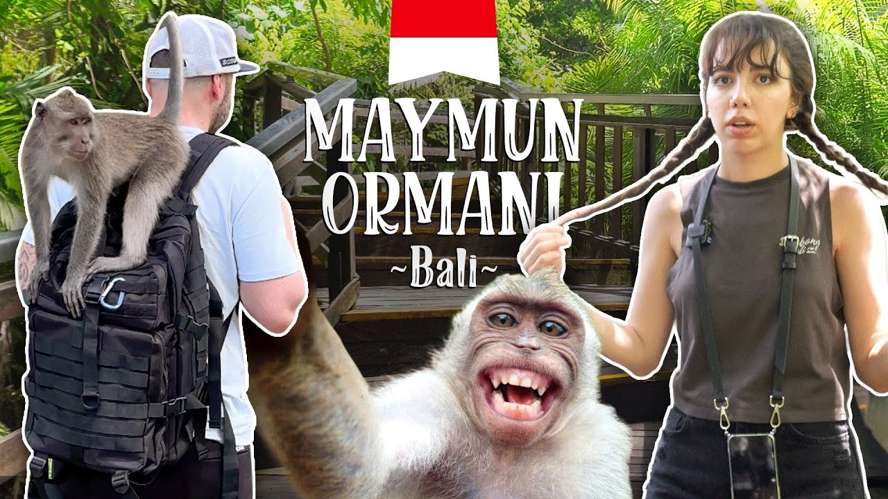 Bali Ubud Maymun Ormanı Vlog (Gitmeye değer mi?)