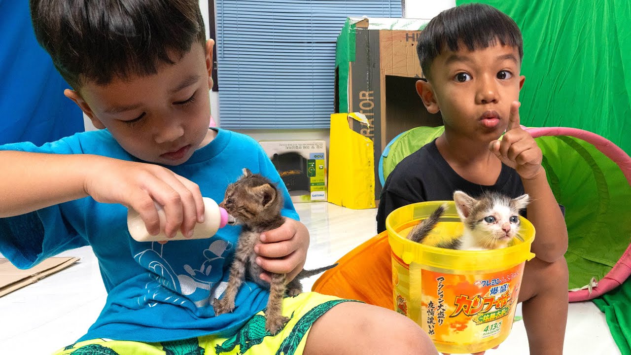 แอบสร้างห้องลับแมว | พี่ปลื้ม