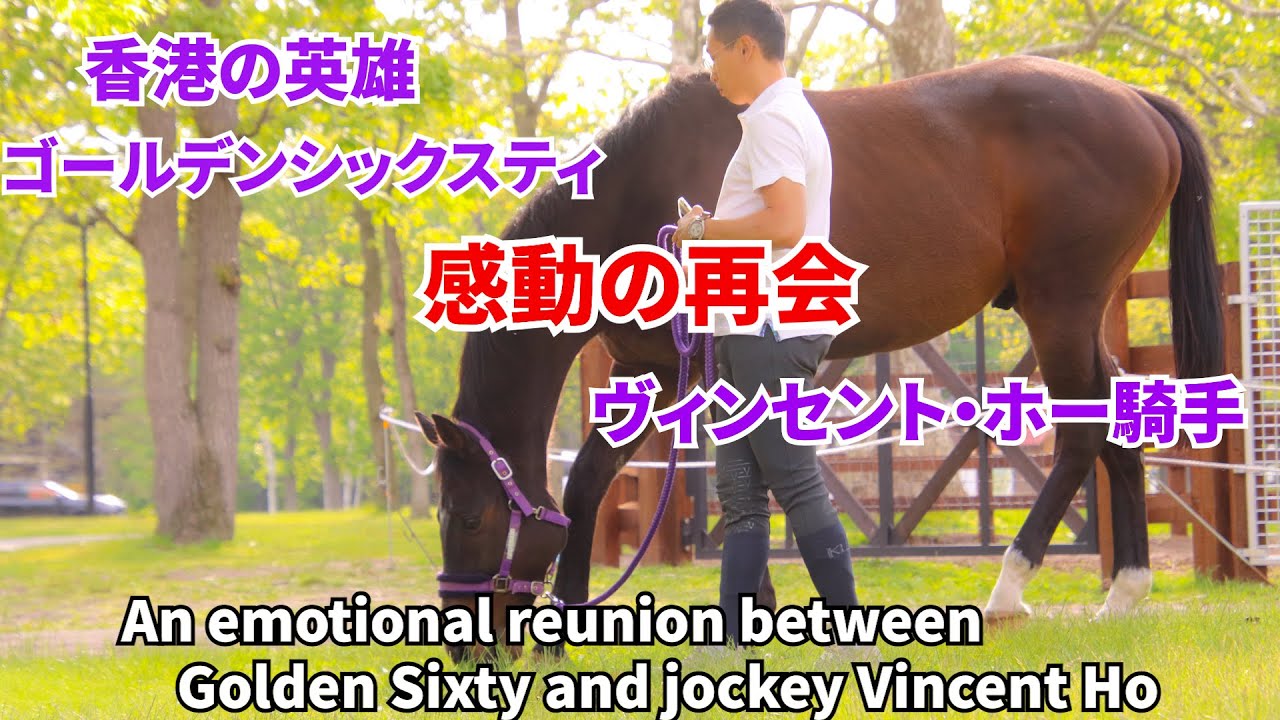Golden Sixty and Vincent Ho reunite—relive their unforgettable bond in this emotional compilation.
