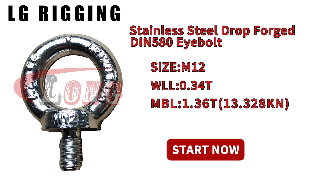 LGRIG&reg; Break Test M12 Stainless Steel Drop Forged DIN580 Eyebolt
