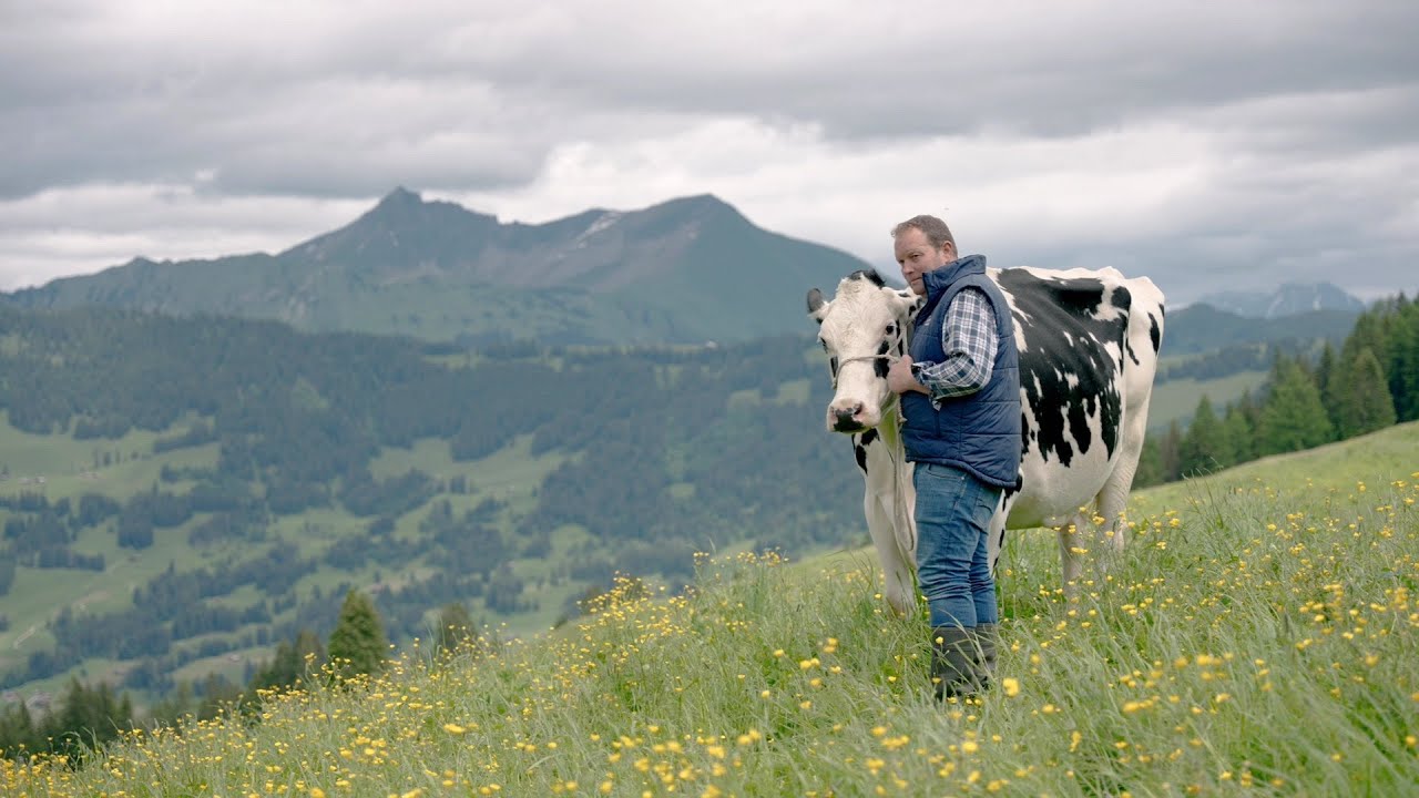 EXPO Bulle 2022 Ausstellerportrait: Gobeli Holstein, Saanen