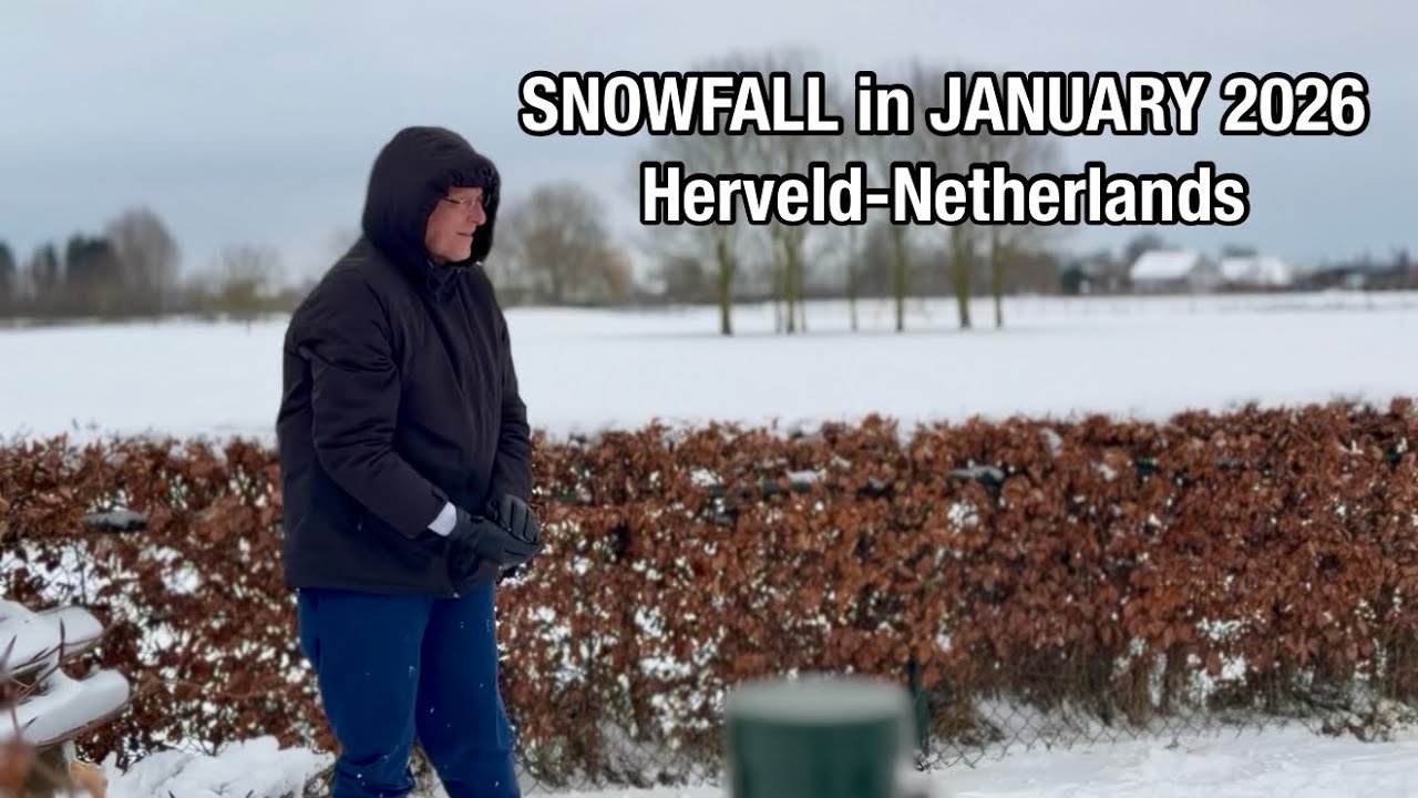 Heavy Snowfall covered Herveld in January 2026❄️