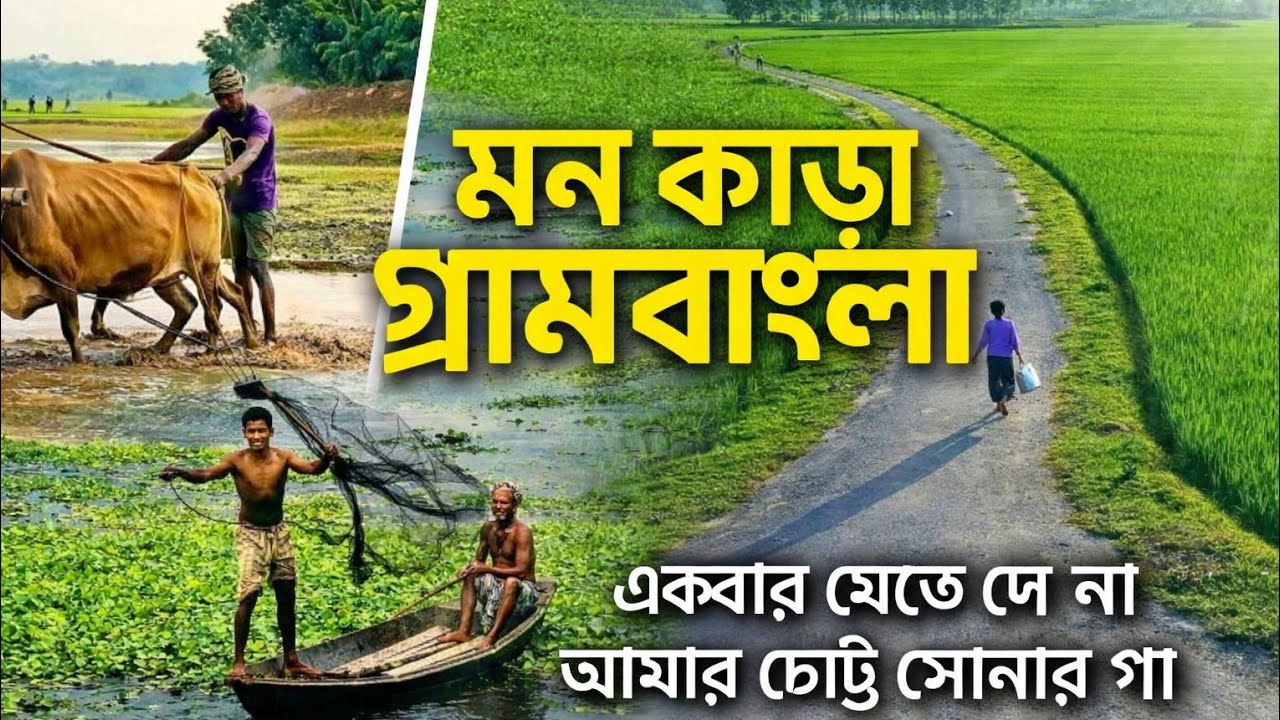 মন ছুঁয়ে যাওয়া গ্রামীণ দৃশ্য | একবার যেতে দে না আমার চোট্ট সোনার গাঁ।