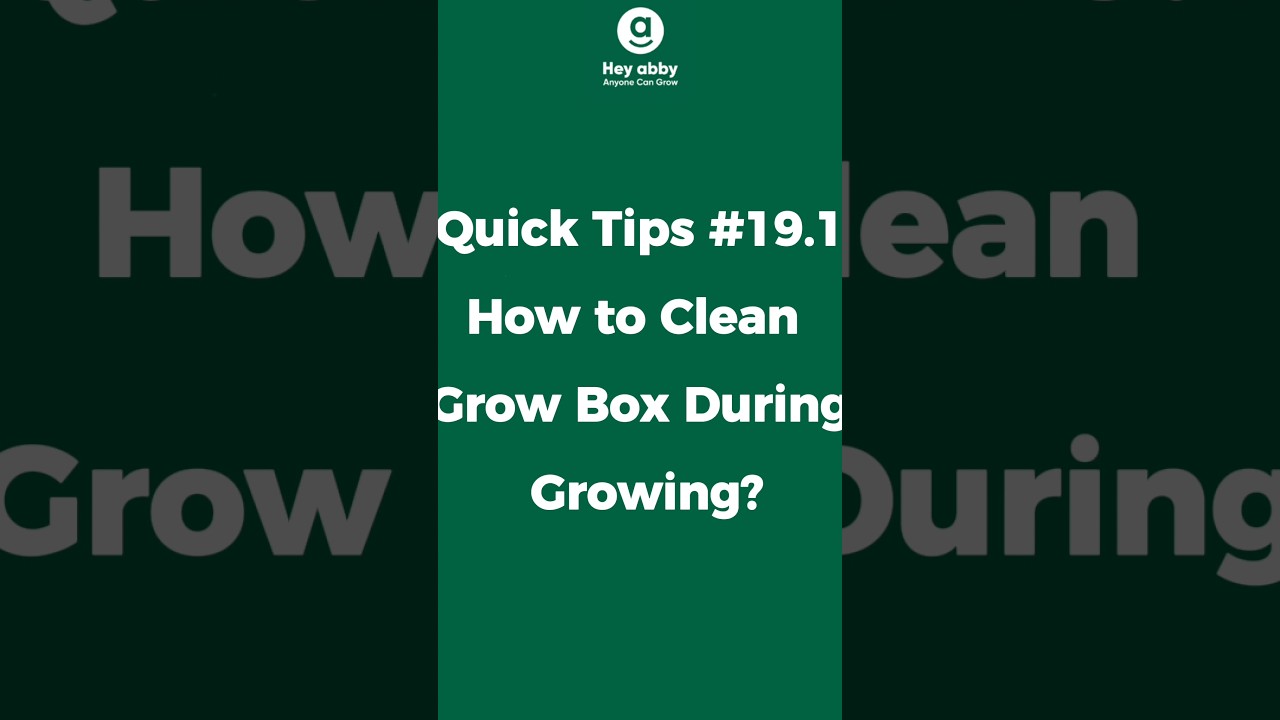 Quick Tips #19.1 How to Clean Grow Box During Growing?