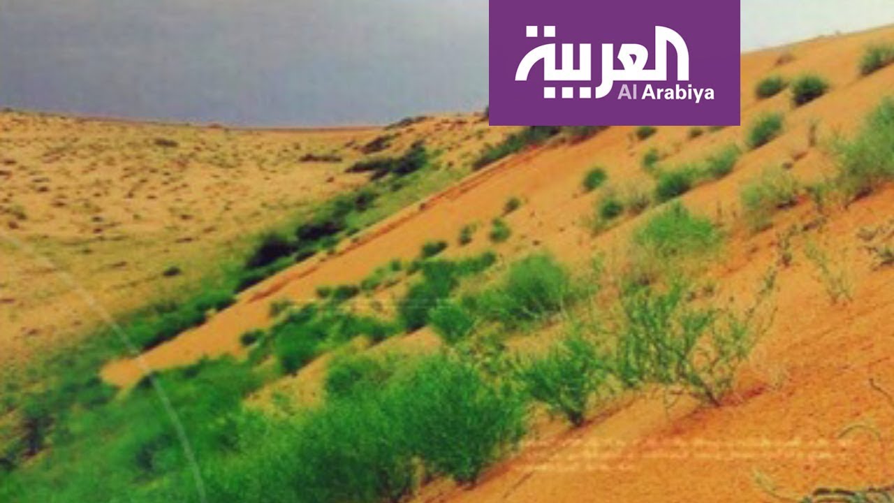 مرايا: عرب يشتمون صحراء العرب!