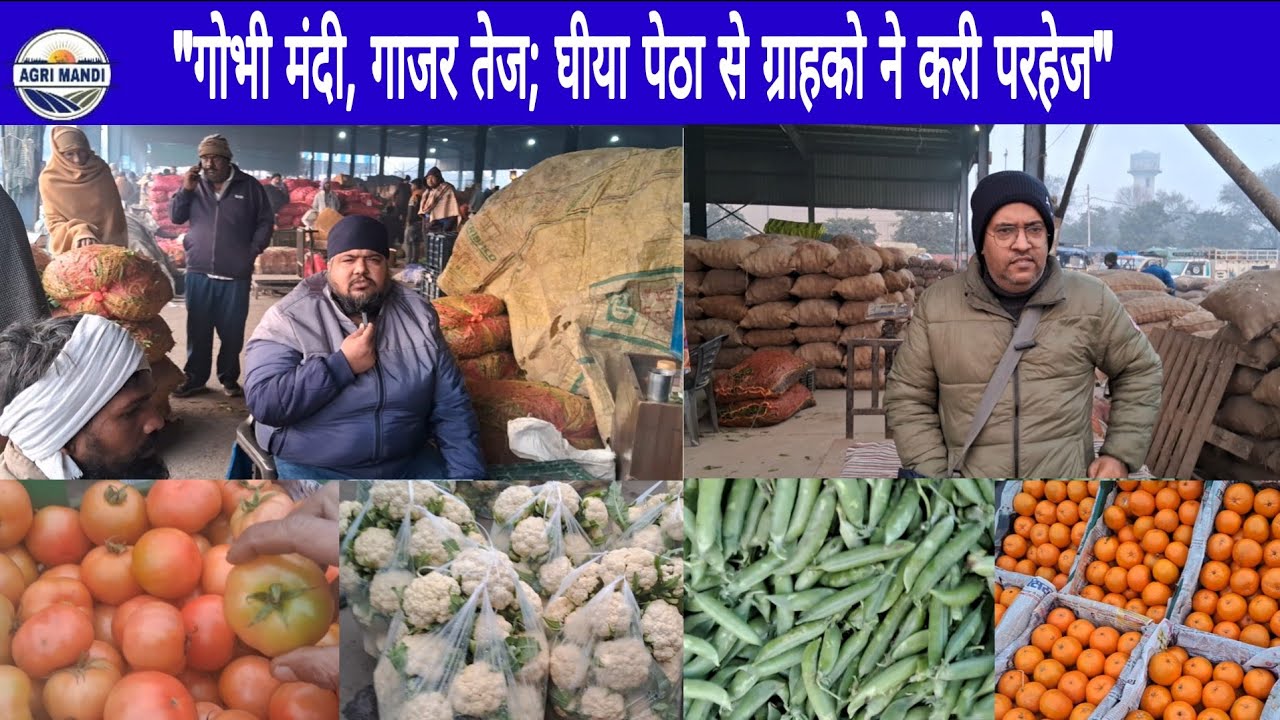 19/01/26 फल-सब्जी करनाल मंडी सोमवार थोक दाम #फल #सब्जी #थोकभाव  #farmer 