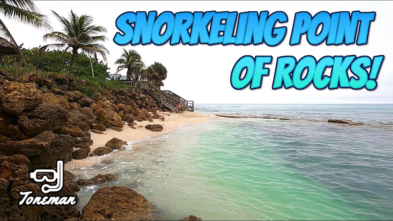 Snorkeling Point of Rocks in Siesta Key Sarasota Florida