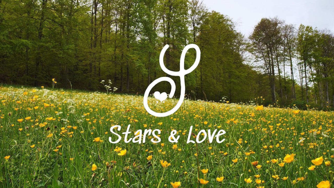 Relaxing Piano Music | Blooming Flower Garden | Morning Relaxation, Study & Focus
