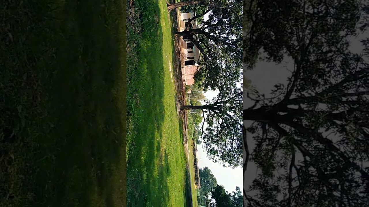 Mirzapur nimoli Faizabad Uttar Pradesh