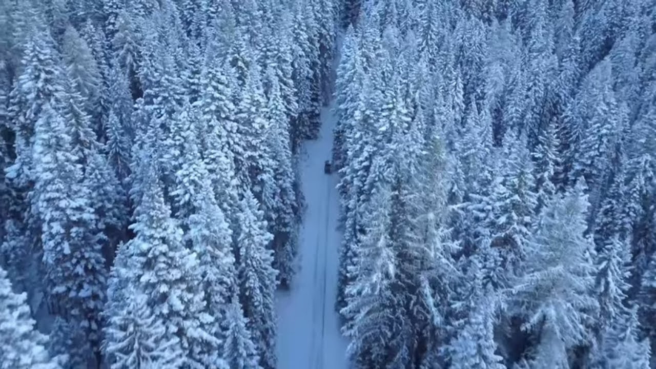 Christmas Carols with 4k Drone footage of Snowfall on trees