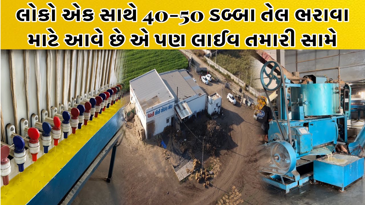 સતત દિવસ રાત ચાલુ રહે છે આ મીની ઘાણી જ્યાં એક સાથે 6 ઘાણી માં થી તેલ પીલવામાં આવે છે | Ghani Oil