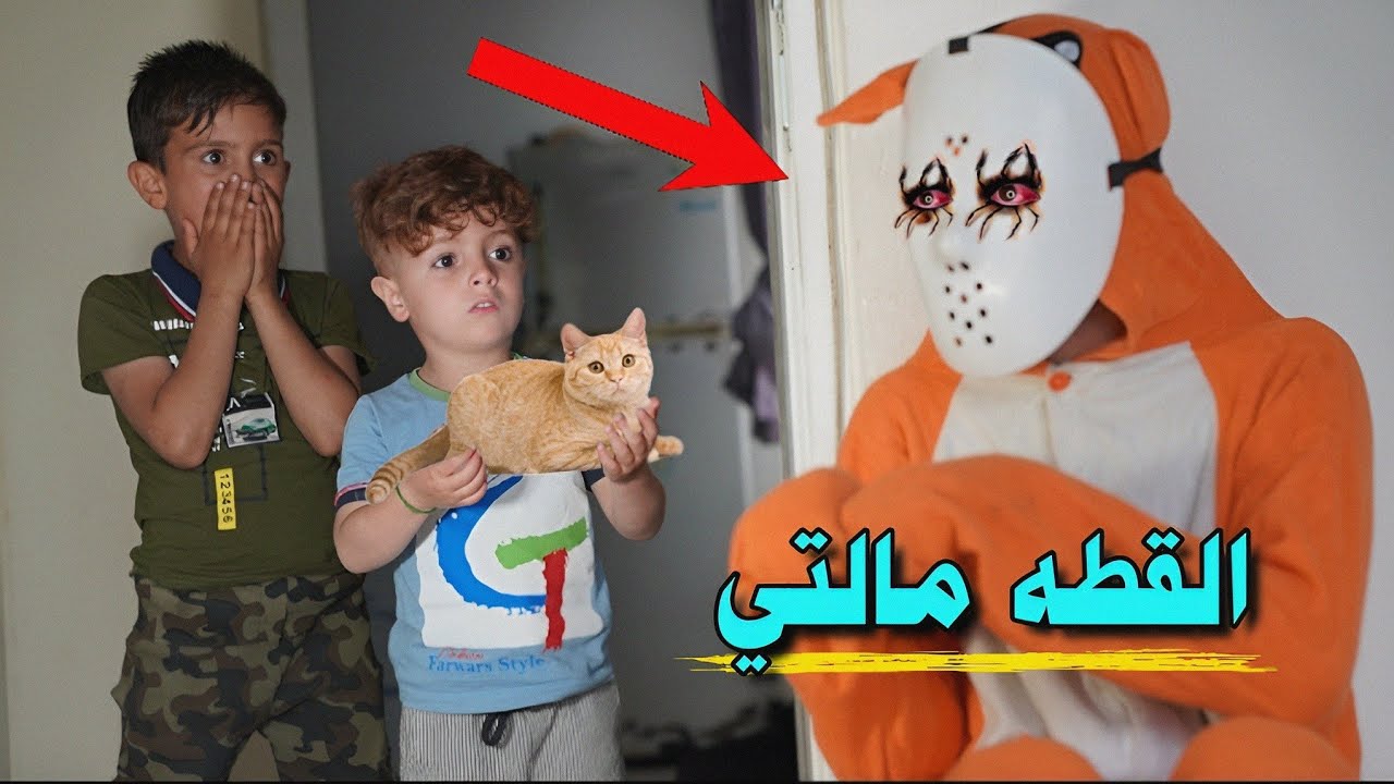 جابو قطه من الشارع|🐈|شوف شصار😱