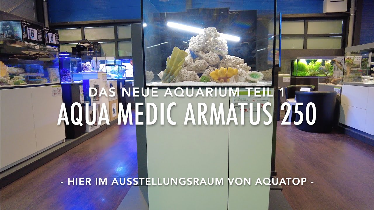 Das neue Meerwasser Aquarium Aqua Medic Armatus 250 Aufbauen Befüllen - Erste Bilder und Eindruck!