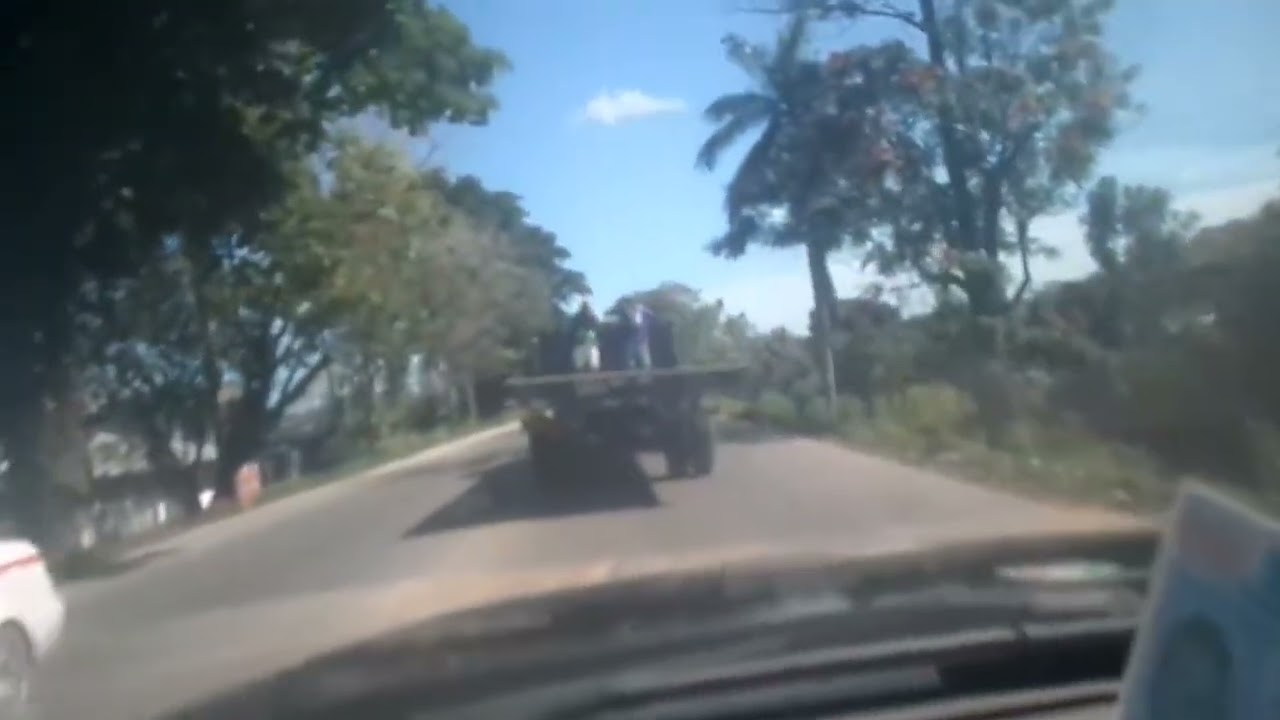 CAMPOS BANANEROS DE HONDURAS 10.