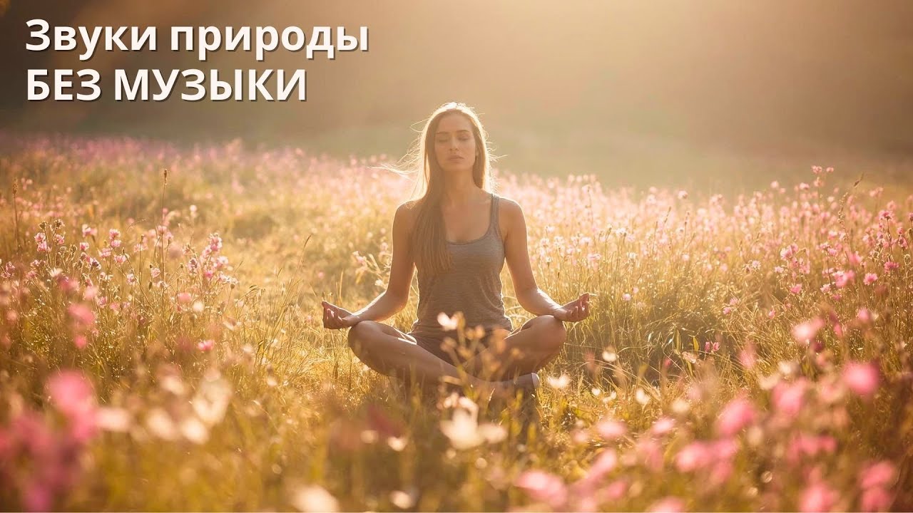 Развивайте свой разум: Яркий весенний луг с колокольчиками и пением птиц | NSO ☀️