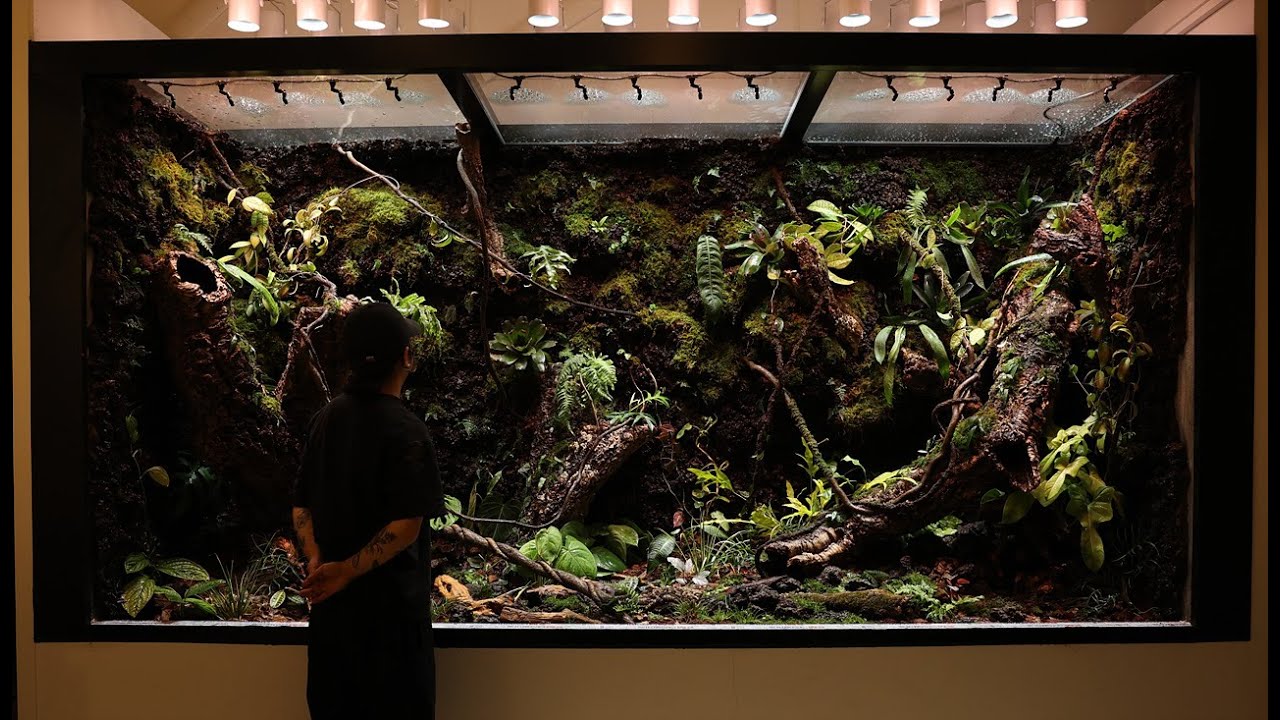 인간이 만든 실내의 4미터 자연| 초대형 팔루다리움 만들기 | Nature Indoors Created By Humans | Making a 4M Paludarium