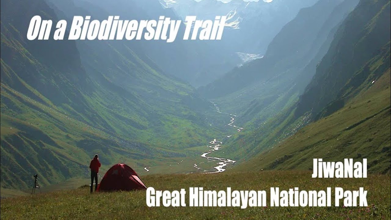 JiwaNal - Great Himalayan National Park : Sanjeeva Pandey | IMF Webinar Vol. 22 | Biodiversity