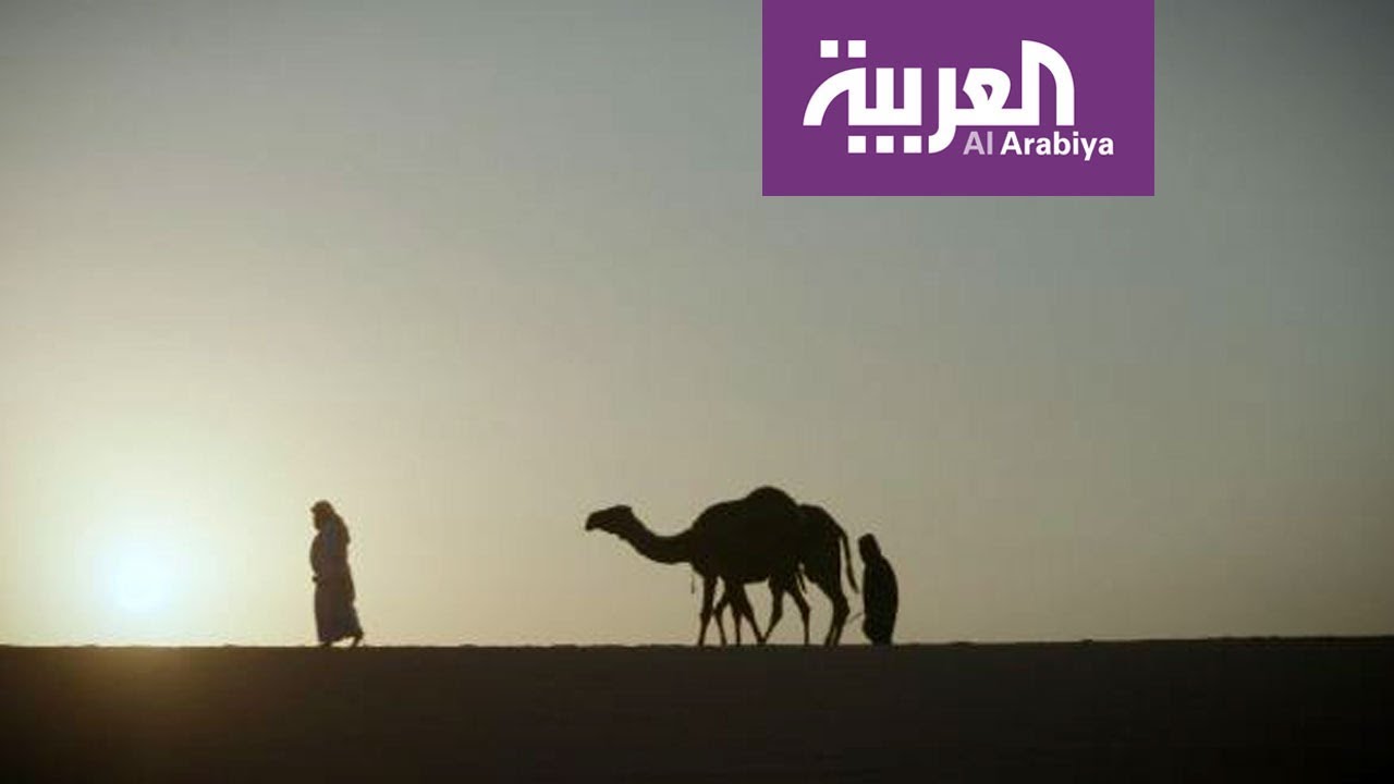 #قامات_القصيد: خلف أبو زويد