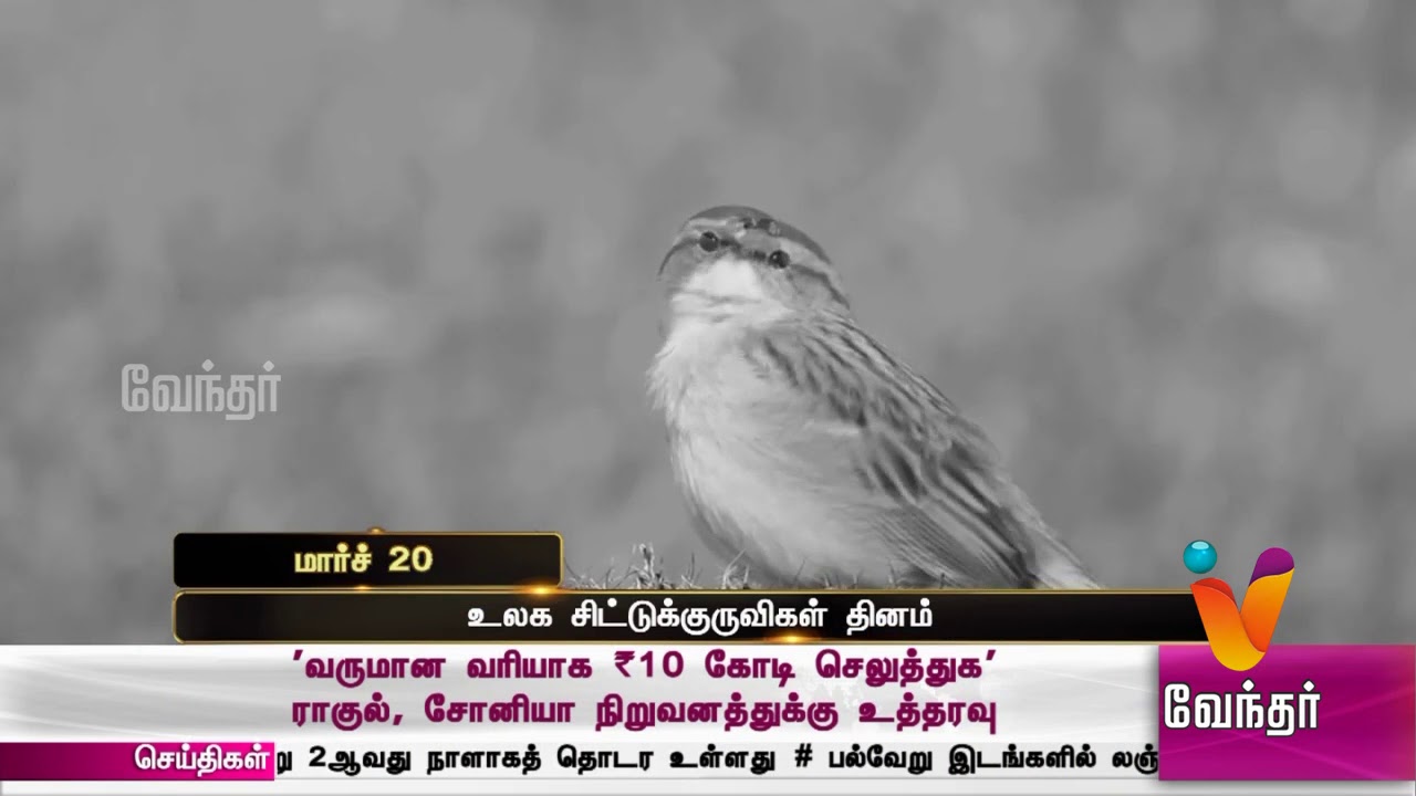வரலாற்றில் இன்று..? உலக சிட்டுக்குருவி தினம். (மார்ச் 20)