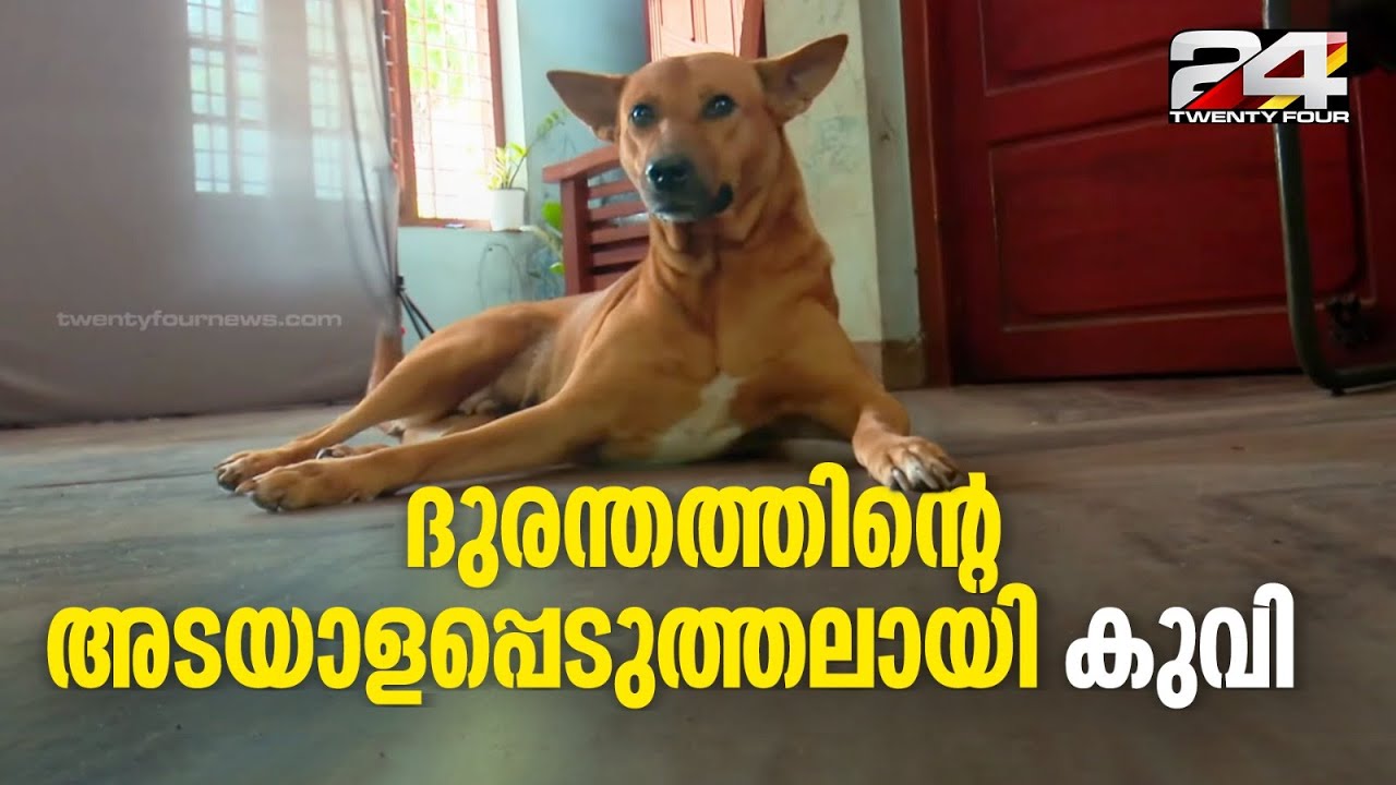 ദുരന്തത്തിൻ്റെ അടയാളപ്പെടുത്തലായി കുവി... നോവായ് 'കുവി' | Koovi