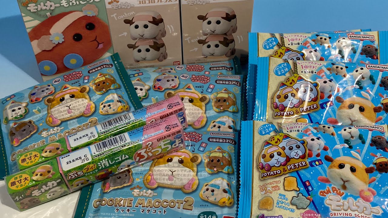モルカー　食玩　ラバマスグミ　クッキーマグコット2 消しゴムぷっちょ　もふこっと　コロコロフレンズ