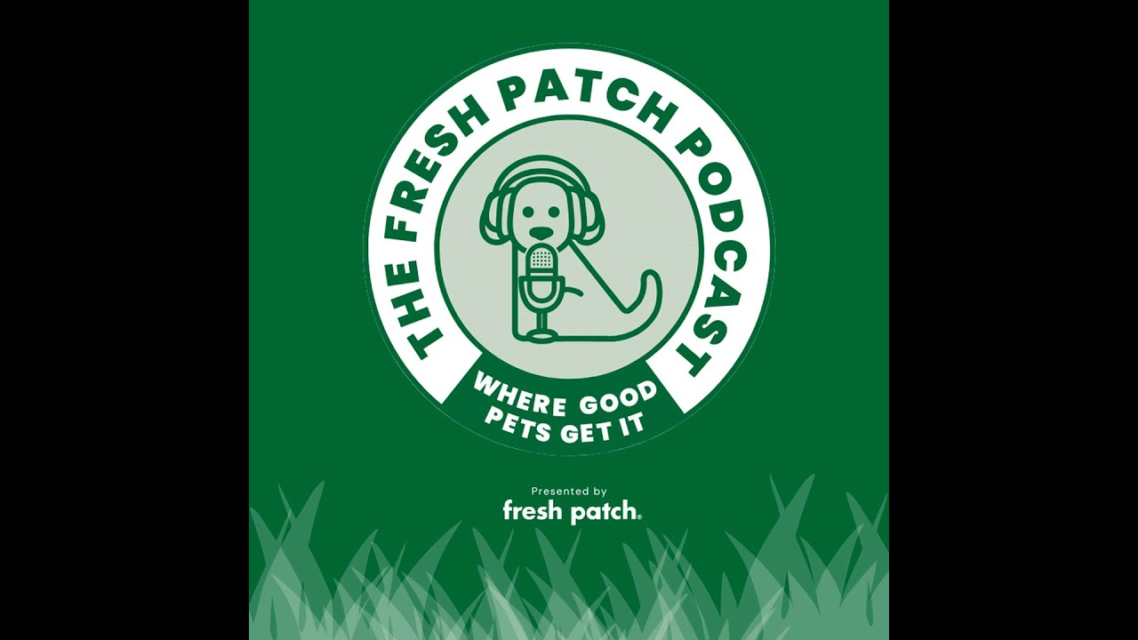 How Eastwood Ranch Saves Lives And Builds Better Homes For Pets