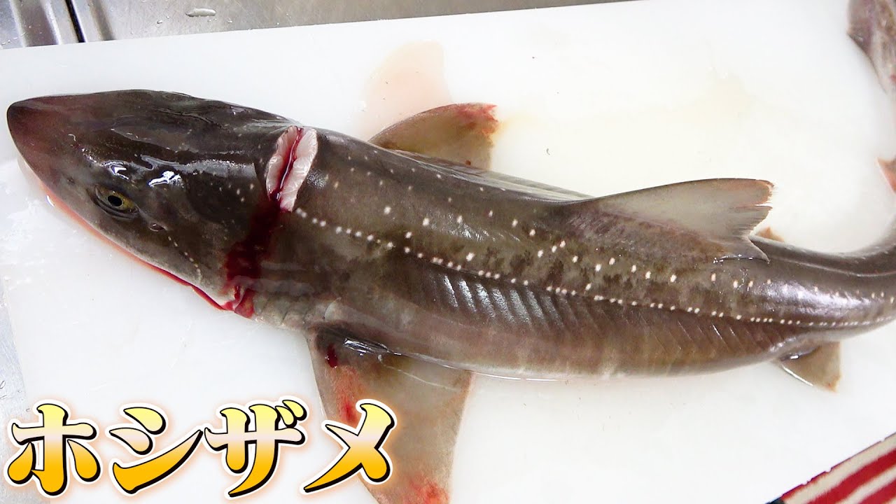 【爺ちゃんの晩御飯】お刺身が美味しいホシザメで油淋○○を作ったよ！
