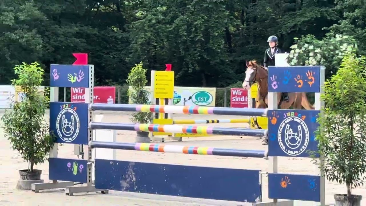 Stilspringen Klasse E 80cm// Wuppertal-Gelpe// 06/2025