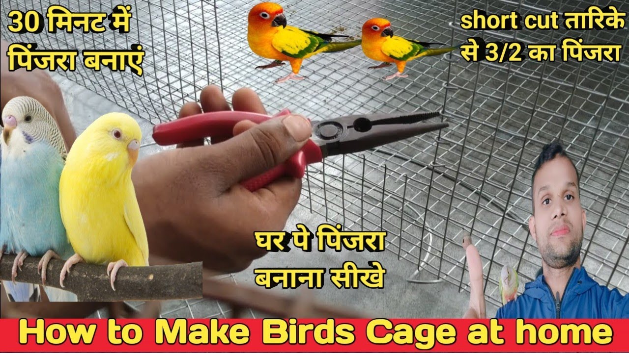 How to make birds cage at home Pinjra ghar pe aasan tarike se banaye (short cut tarika)