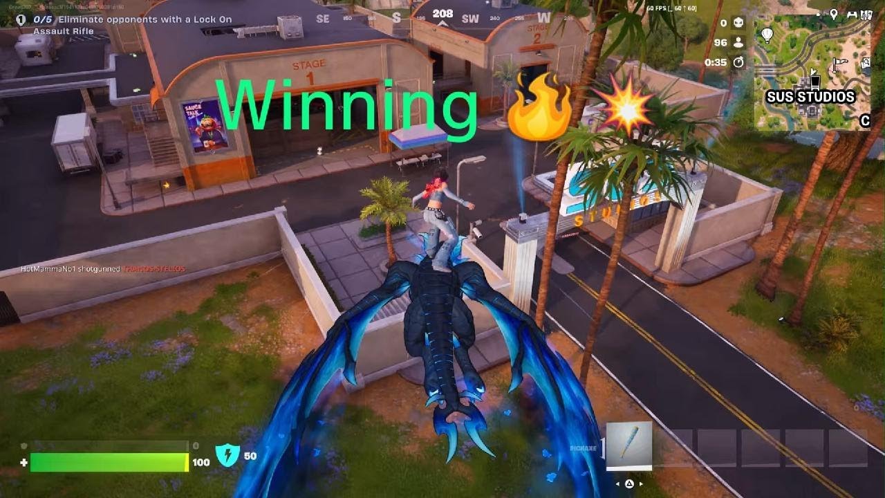 Fortnite solo win