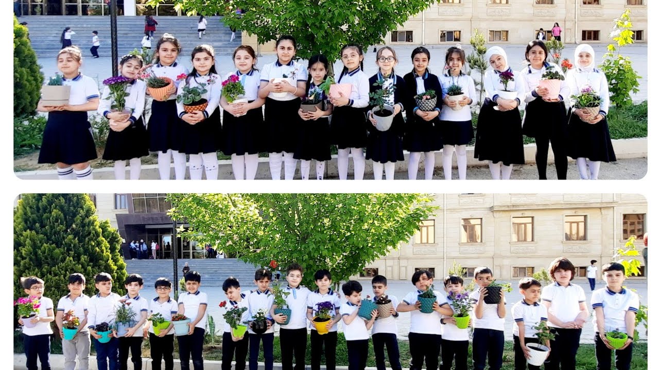 2C -Çiçək əkmə günü. (Yaşıl Dünya Naminə Həmrəylik İli çərçəvəsində)