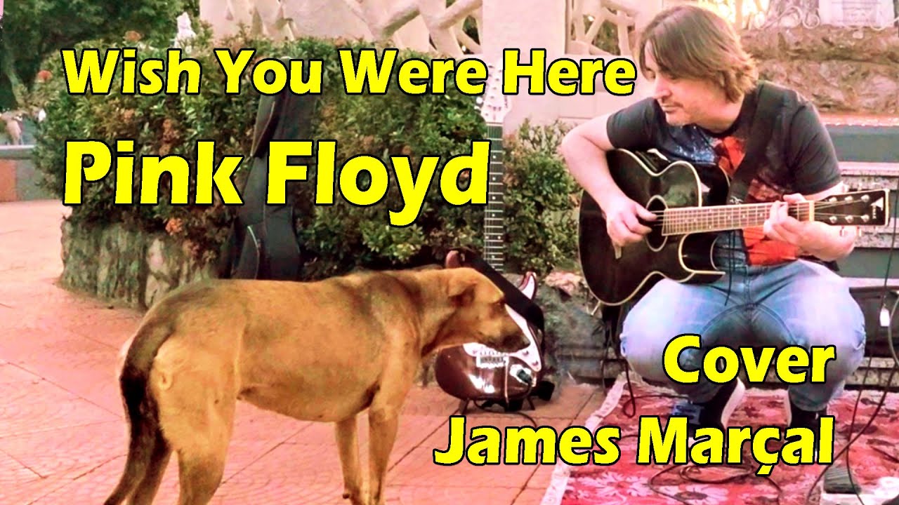 Wish You Were Here (Pink Floyd) Cover: James Marçal & Dog Caramelo