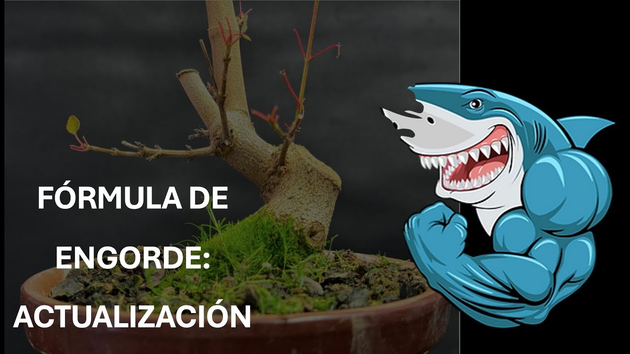 FÓRMULA DE ENGORDE: ACTUALIZACIÓN