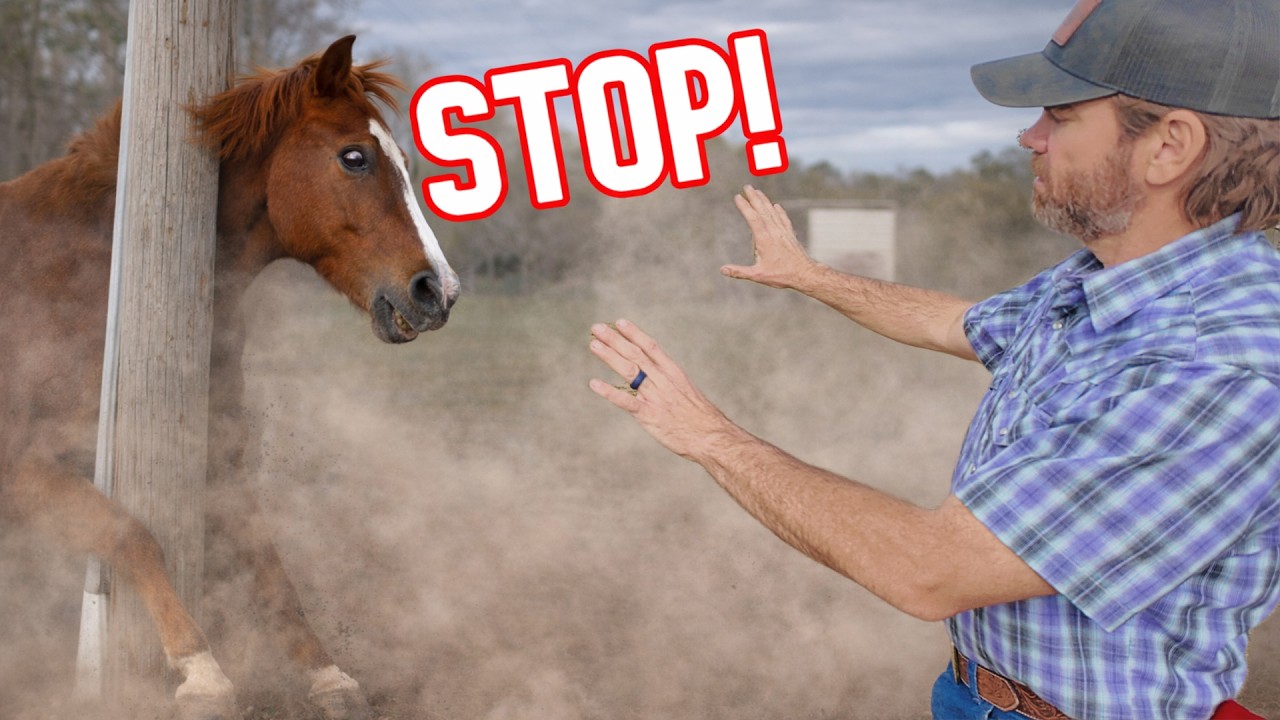 Powinienem był to zrobić wcześniej dla ich bezpieczeństwa