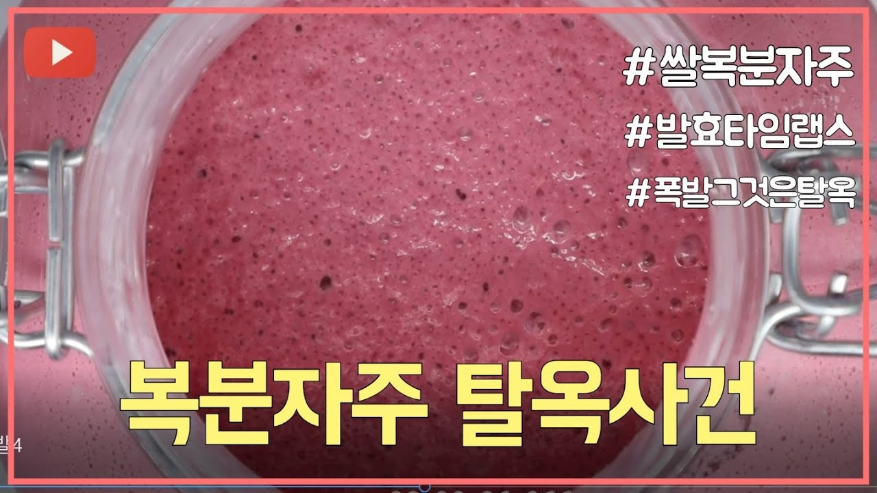 복분자주 탈옥사건, 타임랩스로 잡은 발효 순각 포착