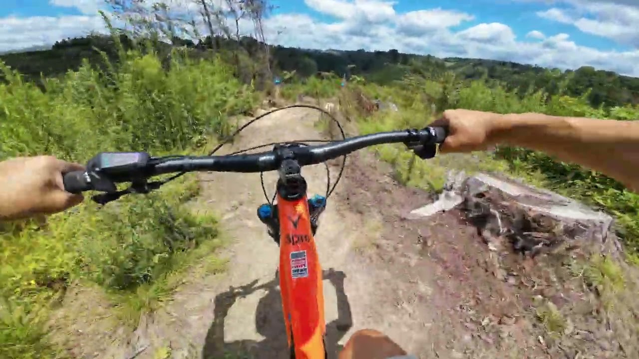 Oropi Grove MTB Park, Tauranga.  2 Whytes, don't make a wrong. 