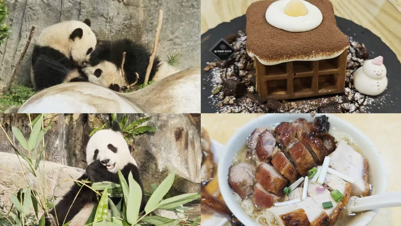 2025 ocean park + 2021大澳