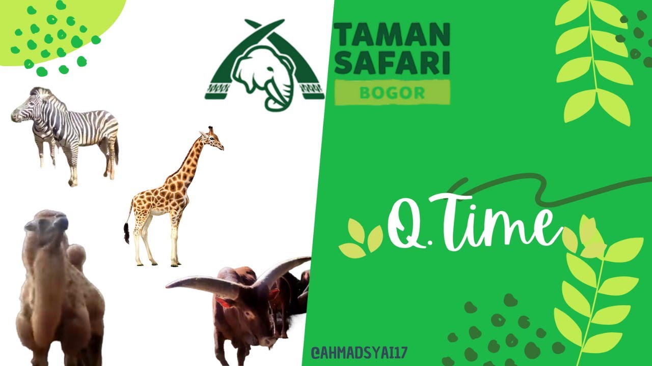 Taman Safari Indonesia 2022 - Qtime